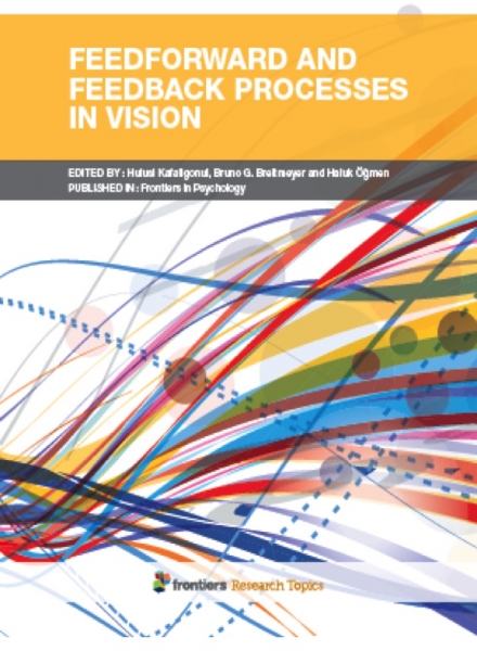 Feedforward and Feedback Processes in Vision